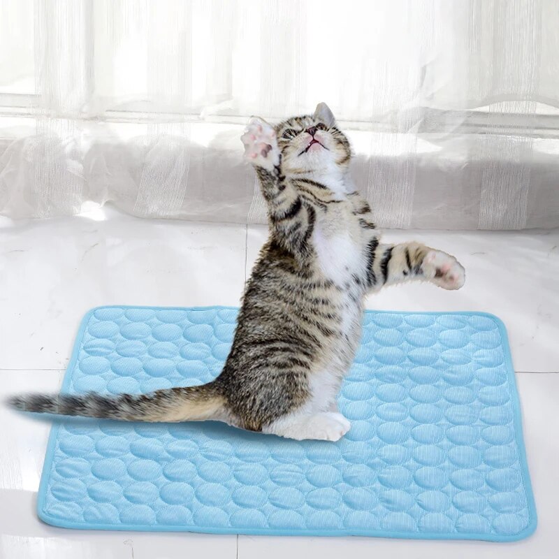 Haustier-Eismatten, Sommer, Ka – Cooling Blanket Hot Sleepers Bewertung und Preis