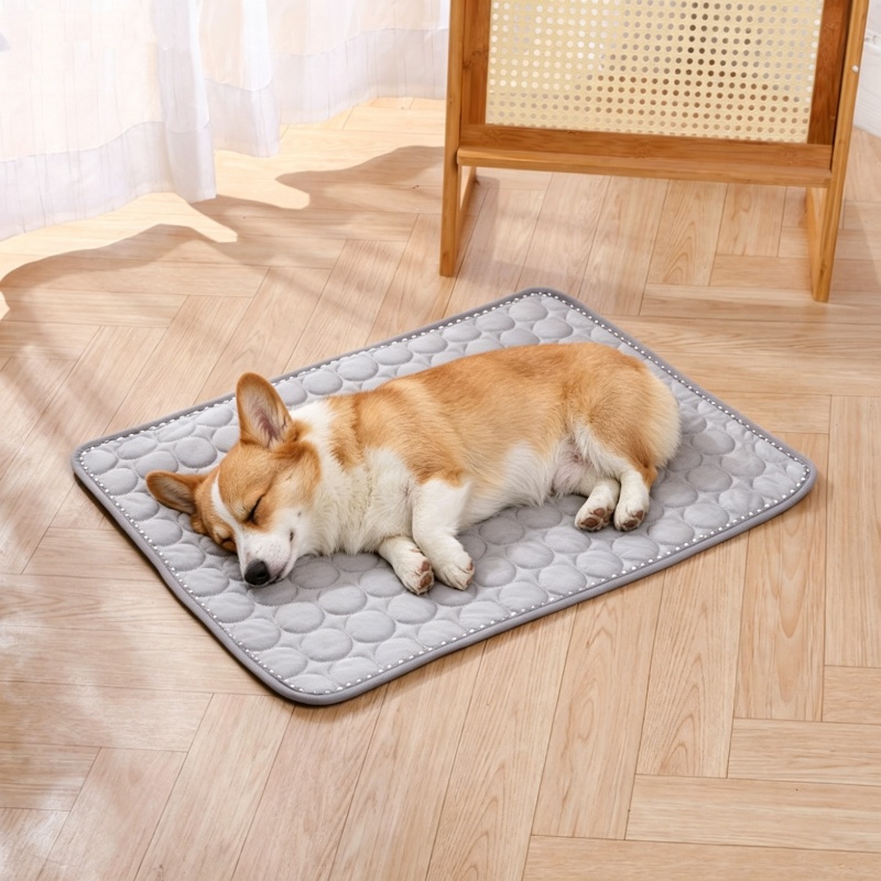 Haustier-Kühlmatte für den Som – Cooling Blanket Hot Sleepers Bewertung und Preis